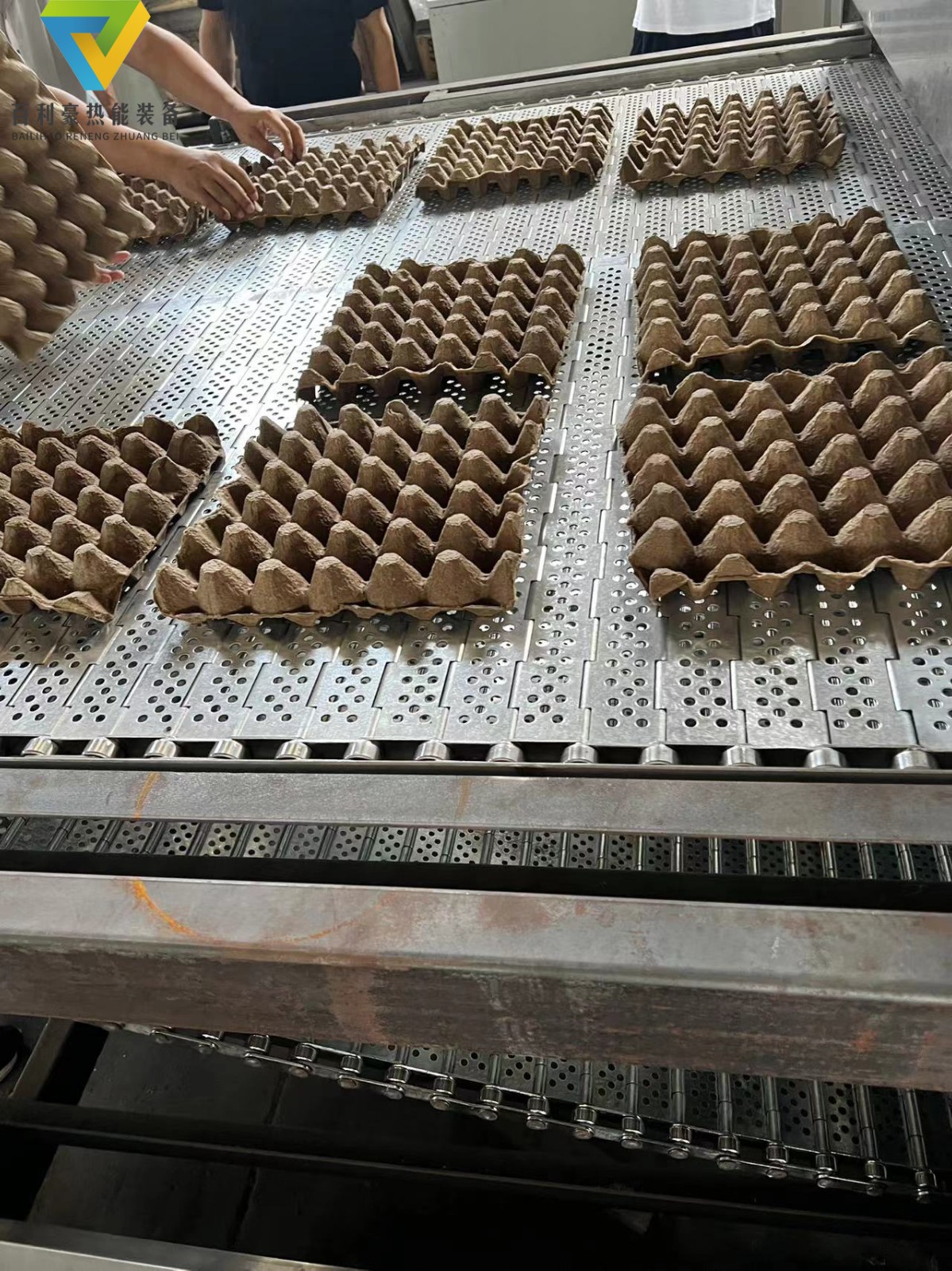 蛋托烘干隧道炉.jpg